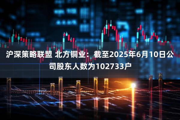 沪深策略联盟 北方铜业：截至2025年6月10日公司股东人数为102733户